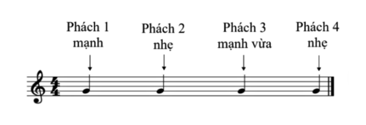 Mẫu phách mạnh-yếu trong nhịp 4/4